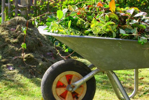 Abfallinfoblatt Gartenabfälle